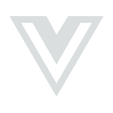 Vue Component